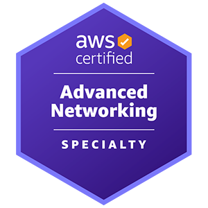 ANS-C01  AWS Certified Advanced Networking - Specialty 