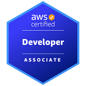 DVA-C02  AWS Certified Developer Associate 