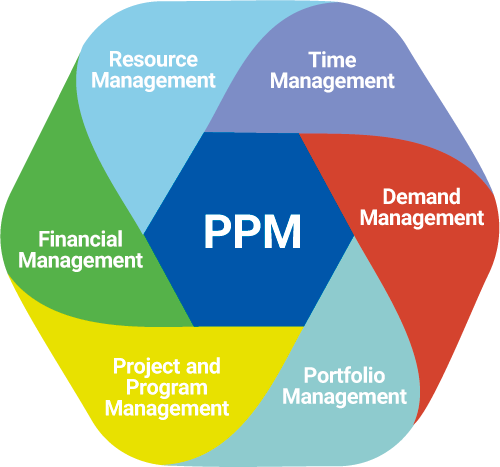 CIS-PPM :Project Portfolio Management 