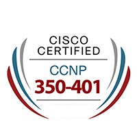 CICCO:ENCOR : Implementing and Operating Cisco Enterprise Network Core Technologies